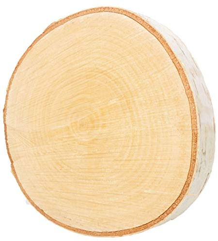 Birkenscheibe rund Ø 15-20cm, ca. 2,5cm stark, Holzscheibe, Baumscheibe zum Basteln, Gravieren, Basteln, Gravieren, Dekorieren, Tischdeko, Floristik, Hochzeit, Unterteller (1 Stk. unbehandelt)