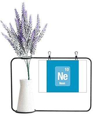 no/no Ne Neon Checal Element Science Artificial Lavender Flower Vase Bottle Card
