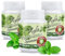 Xylit Kaugummi | Tschüß Karies: 240 zuckerfreie Zahnpflegekaugummi mit 100% Xylit, ohne Aspartam, vegan | Spearmint (3er Pack)