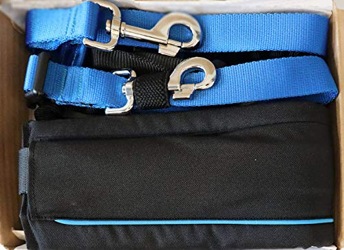 Canicross-Set für Freizeit, freihändige Hände: Gürtel + Leine, Stoßdämpfer 2 – 2,5 m: Jogging, Spaziergang (M: Stoßdämpfer mittel für Hunde von 20 – 30 kg, Blau, Gürtel in Schwarz-Weiß-Band,