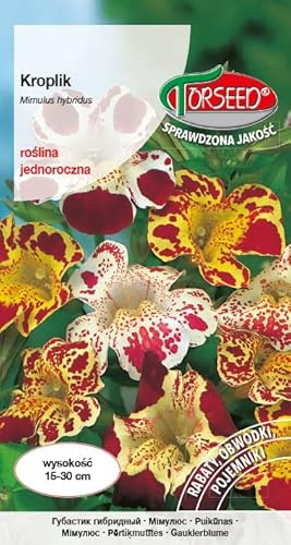 Verdica Graines de campanule vibrantes Mimulus Mimulus hybridus – Fleurs multicolores éblouissantes, idéales pour les plates-bandes, bordures et conteneurs, croissance de 15 à 30 cm