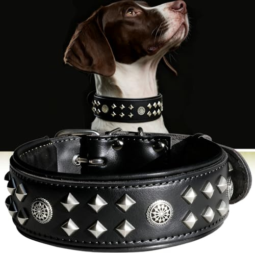 EliteGuard Hundehalsband Leder, 5,6 cm Breit, Handgefertigt Mit Nieten Und Edelstahlschnalle, Für Den Täglichen Gebrauch Bei Großen Hunden, Schwarz 54.5-65 cm