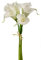 artplants.de Kunststrauß Calla Strauß RUMA, weiß, 35cm - Kunst Calla Blume