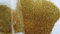 EliteKoopers 10g Gold Sparkling Ultra Fine Glitter Powder, Extra Fine Shine Dust for Nail Art, Christmas Craft, Card Making, Cosmatic Craft