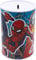 Spiderman Piggy Bank for Boys – Marvel Metal Money Box, Durable Coin & Cash Savings Tin, Idea for Kids & Superhero Fans Size-15cm