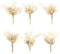 6Stück Mini Boho Getrocknete Blume Bouquet Trockenblumen Kleine Blumensträuße Mini Natürliche Echte Pflanzen für Hochzeit Tisch Mittelstücke Geschenkbox Kuchen Dekor Home Vase Dekor DIY Handwerk(03)