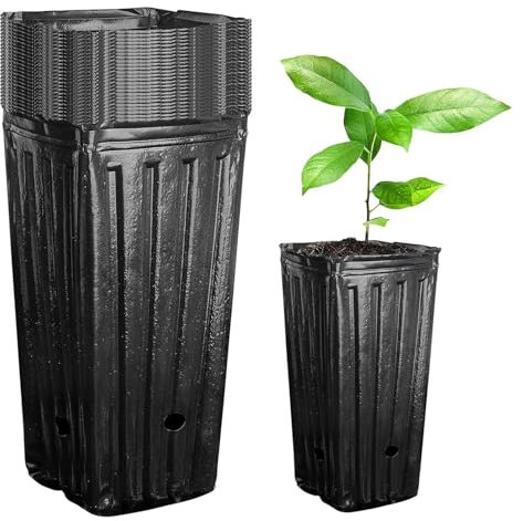 Plástico para viveros, 10 Piezas de macetas Altas y Profundas de plástico para viveros, macetas engrosadas y más Altas para Plantar en viveros, Flores, Hierbas, esquejes,Negro,10x30cm