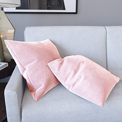 Set di 2 Federe Per Cuscini In Velluto Morbido e Resistente Copricuscini Per Divano Poltrona Soggiorno Arredo Arredamento Casa Design Moderno Elegante Cerniera Invisibile (45 x 45 cm, Rosa)