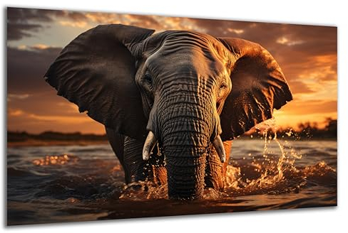 DARO Design - Wand-Bild auf 6mm HDF 84x56 cm Elefant Wasser Sonnenuntergang - Wand-Deko Bilder Geschenk