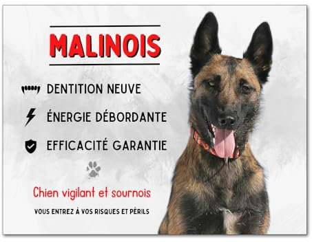 Plaque Malinois attention au chien vigilant et sournois panneau berger belge pancarte porte d'entrée en aluminium 15x20cm