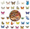60 Stück Schmetterling Aufkleber, Aufkleber für Scrapbooking Kleine, Bunt Schmetterling Sticker, PVC Wasserdicht Dekorativ Aufkleber, für DIY Dekoration, Scrapbooking, Laptop, Gepäck, Wand und Fenst