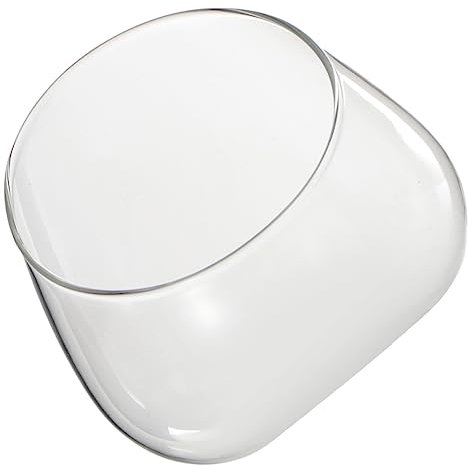 VICASKY Schräg Geschnittenes Schalenterrarium Aus Glas Ökologische Mikrolandschaftsflasche Für Pflanzen Dekorativer Behälter Als Moospflanzenflasche Ökologische Glasflasche Für Sukkulenten