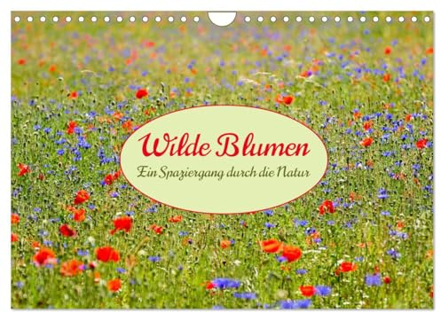 Wilde Blumen - ein Spaziergang durch die Natur (Wandkalender 2026 DIN A4 quer), CALVENDO Monatskalender