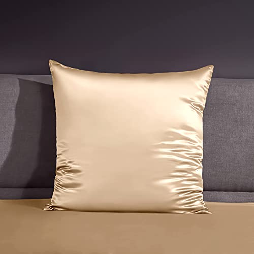 THXSILK 22 Momme Seide Kissenbezug - 100% Seide Kopfkissenbezug Sofakissenbezug Kinderwagen - Anti milben Reißverschluss Seidenkissenbezug - Champagner 80 x 80 cm