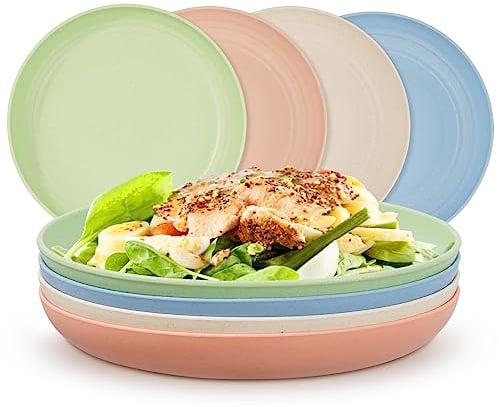 Voency Unbreakable Dinner Plates 4 Pcs, Lightweight Dinner Dishes Plates Set, Reusable Picnic Plates, Dessert Plates Perfect for Adults Kids
