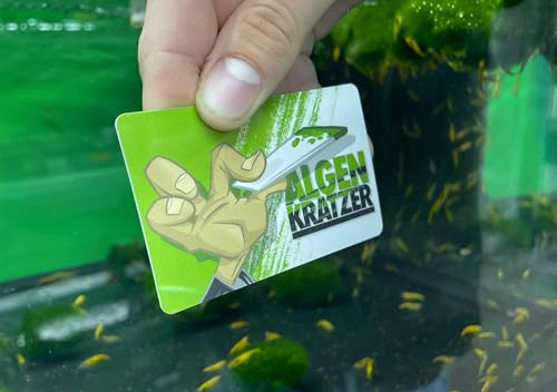NatureHolic Algenkratzer | Aquarium Scheibenreiniger | Flexibler Algenentferner aus hochwertigem Kunststoff | Für kleine & große Aquarien