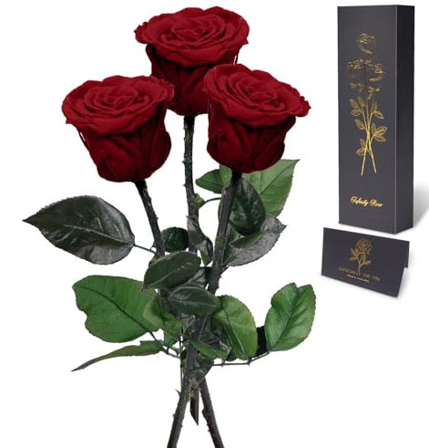 Yamonic Infinity Rose mit Stiel Geschenke für Frauen,Echte Rose Geburtstagsgeschenk für Frauen Ewige Rose in Geschenkbox Geschenke für Mama,Konservierte Blume zum Weihnachten, Deko Geschenk, 3 Rosen