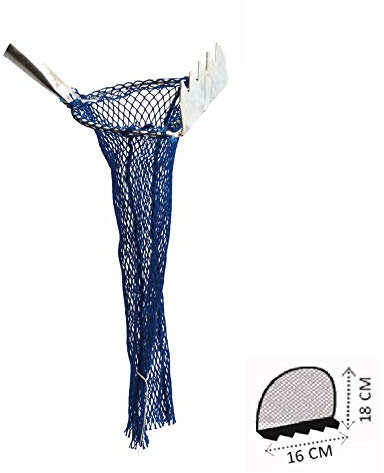 Sele Rastrello raccogli cozze Grattacozze, 16cm x 18cm Senza Manico