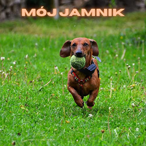 Moj jamnik