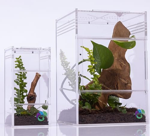 Springspinnengehege, Springspinnenwohnraum, Spinnen-Terrarium Kit, Springspinnengehege Zubehör, Spinnenkäfig, Käferterrarium, Insektenterrarium, Schneckenlebensraum, Arboreal Tarantel Gehege