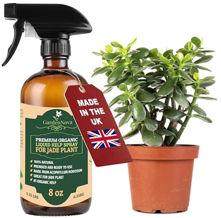GARDENNOVA Professional Organic Liquid Kelp Spray for Jade Plants - 8 oz - Ready-to-Use Fully Organic Seaweed & Kelp Fertilizer Mist