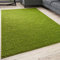THE RUGS Living Room Rug - Shaggy Soft And Elegant Carpets For The Bedrooms And Kitchen, Easy To Clean, Many Different Sizes (180x270 cm, Green)