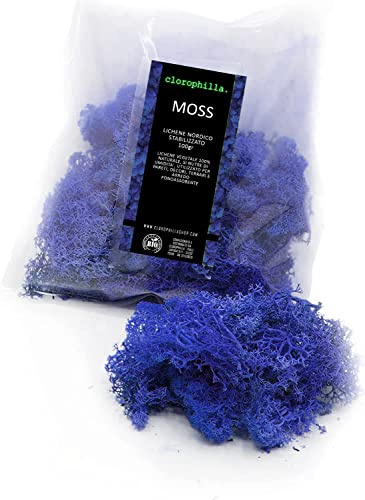 clorophilla. Moss Lichene Nordico Stabilizzato Naturale Qualità superiore - Muschio Vegetale per Quadri Modellismo Fai da te Vari Colori - 100g (blu)