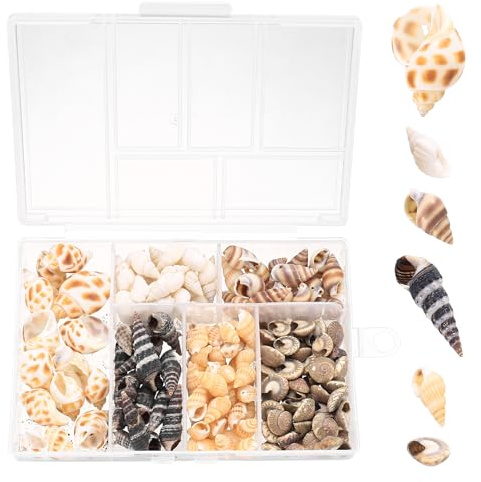 100 Stk Muscheln zum Basteln, Muscheln Deko, Ozean Natürliche Muscheln Gemischt für Maritime Deko Sand Thema Party Aquarium Vase Füllstoffe Hochzeit Fisch Panzer DIY Kunsthandwerk Hochzeitsdeko