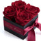 Rosenbox mit Infinity Rosen Poesie en Roses 4 konservierte Rosen haltbar 3 Jahre - Blumenbox Flowerbox für Frauen (Dunkelrot)