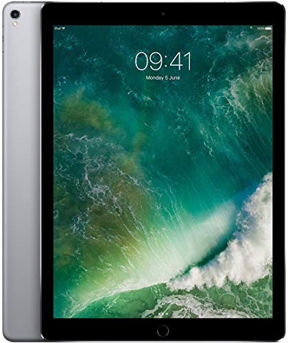 Apple iPad Pro 12.9 Display Wi-Fi 64GB - Space Grau (Generalüberholt)