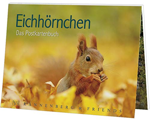 Postkartenbuch Eichhörnchen, Postkarte Ansichtskarte, 15 Karten