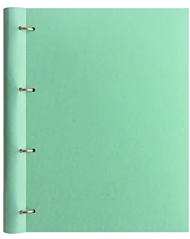 Filofax Clipbook, A4, Classic Pastels Collection, nachfüllbares Notizbuch, Duck Egg (B144005)