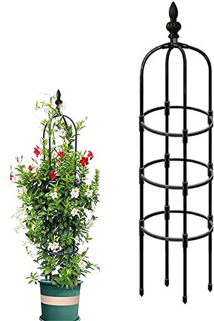 Rankhilfe Obelisk 90cm 120cm 150cm 180cm 210cm hoch, Ranksäule für Pflanzen Kletterpflanzen, Reben,Blume, Rosen, witterungsbeständig Metall Rankobelisk freistehend Rosenturm ( Size : 9.8/25cm Dia. x