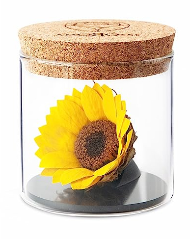Amoroses Sunflo - Girasole Stabilizzato Fiore Eterno in Barattolo di Vetro | Idea Regalo