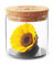 Amoroses Sunflo - Girasole Stabilizzato Fiore Eterno in Barattolo di Vetro | Idea Regalo