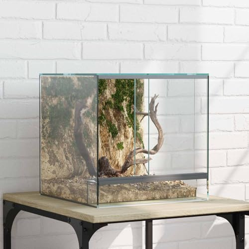 Transparentes Glasterrarium mit Schiebetüren und Mesh-Panels für Reptilien und Amphibien