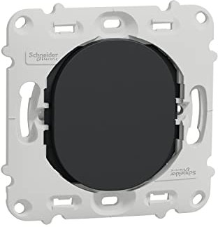 Schneider Electric - Ovalis - obturateur - sans plaque de finition -Anthracite - S461666