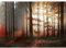 Runa Art Papier peint intissé 396 x 280 cm forêt Hirsch | Toison Décoration Murale Salon Chambre á Coucherr | Fabrication Allemande | rouge-marron 9387012a