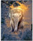 Square Diamond Painting Bilder Erwachsene 40x50 cm Quadratische Steine Diamant Painting Bilder Groß Tiere Elefant Sonnenuntergang Diamant Malerei kits Kreuzstich Mosaik Aufkleber Gemälde Puzzle