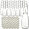 gouveo Lot de 60 bouteilles de jus 250 ml avec bouchon à vis, argent - Bouteille en verre 0,25 l avec bouchon TO43 - Bouteille vide pour jus, smoothie, limonade (SF250S)