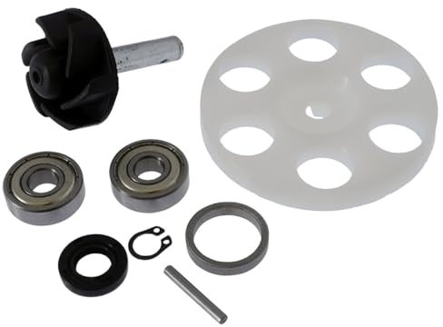 Pompe à eau avec dispositif de roue motrice pour Malaguti F12 R 50 cc, F15 Firefox, MBK Mach G, Nitro, naked