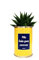 Styley - Me fais pas crever - Plante grasse et cactus en pot - plante d'interieur - Fasciata - Idéal Cadeau de Noël