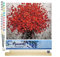 Figured'Art Peinture par Numéro Adulte Fleurs rouges abstraites - Activité Manuelle Kit de Loisir Créatif DIY Numéro d'Art Complet - 40x50cm avec châssis en bois à monter