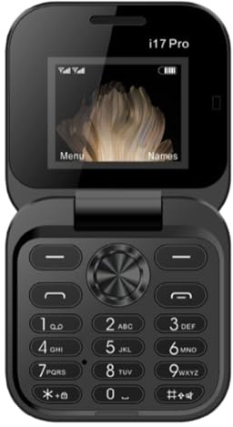 Mini Flip Phone for Elderly & Backup - 2G Dual SIM FM Radio, Large Keypad, Non-Smart Simple Mobile with Speed Dial | for Parents (A)