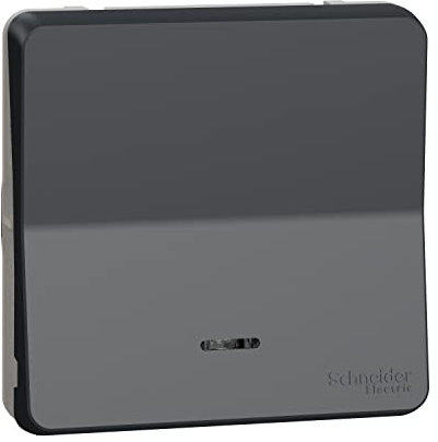 Schneider Electric - Mureva Styl - Va et vient lumineux LED - composable -IP55-IK08 -connex auto-gris - MUR35025