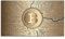 Bitcoin Leinwanddrucke, Kryptowährung, Krypto-Poster, Wandkunst für Zuhause, 1 Stück, Dekorationen, ungerahmt 33 x 20,3 cm