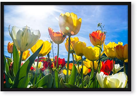 Pixxprint Wiese Froschperspektive, Poster im Bilderrahmen, Format: 55x40cm, Kunstdruck gerahmt