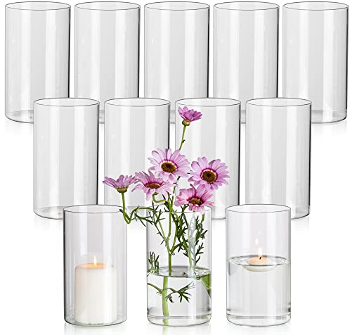 Glasseam Blumenvase Glas Vasen, 12 x Klar Kleine Vase Set, 15 x 8,5 cm Zylinder Runde Glasvase Schöne Blumenvasen für Tulpen, Minimalistische Dekovasen Kerzenhalter für Hochzeit Tischdeko Dekohaus
