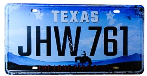 Blechschild Texas 30 x 15,5 cm USA The Lone Ranger Wandbild Schild Deko MU K724