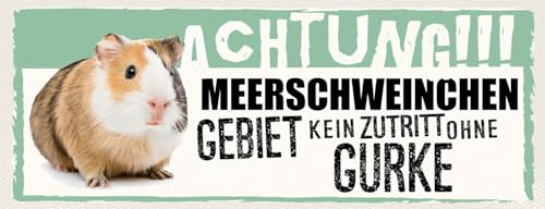 vianmo Blechschild 10x27 cm Achtung Meerschweinchen Kein Zutritt ohne Gurke Deko Geschenk Schild
